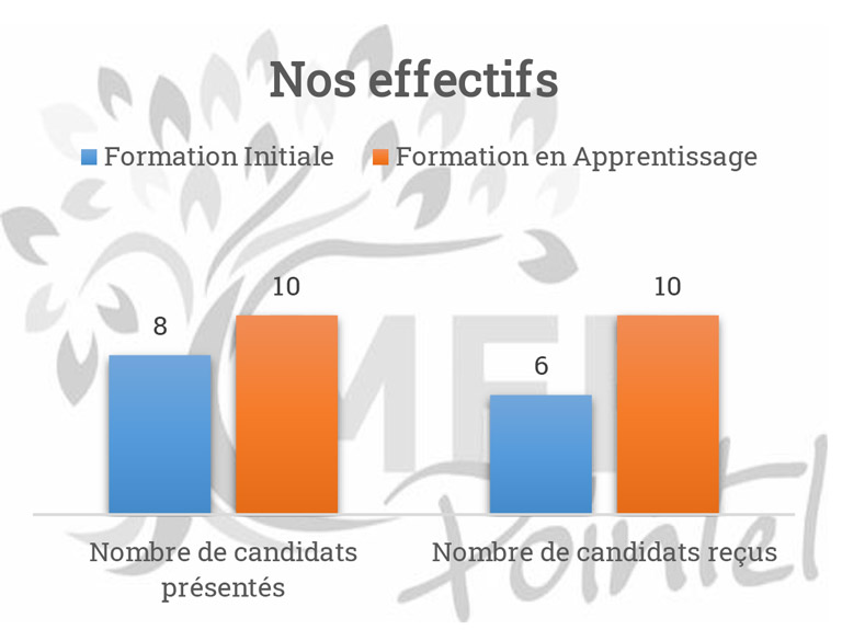 indicateurs 2023-2024 effectifs Bac Pro Forêt