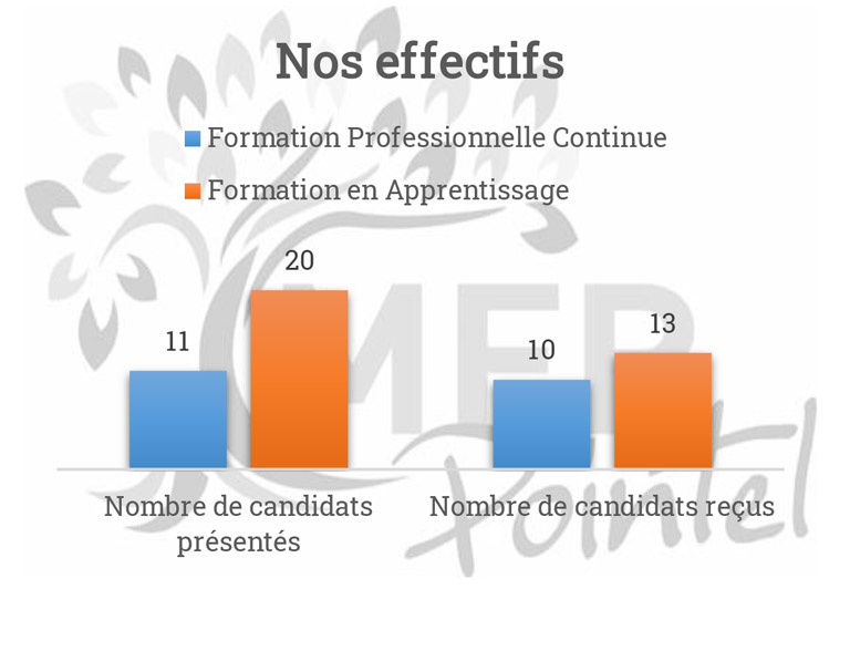 indicateurs 2023-2024 effectifs Certificat de Spécialisation Arboriste Élagueur